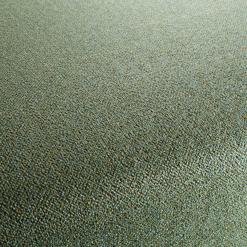 Chivasso Bonsai Reboot Colour 20