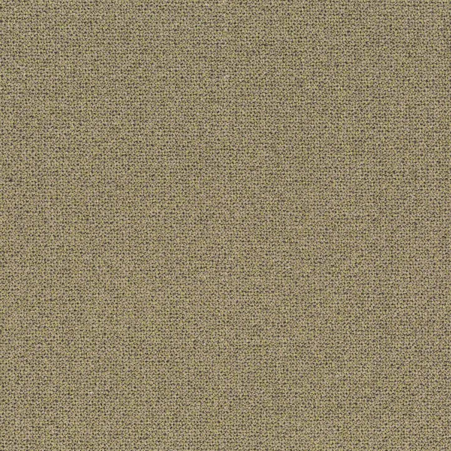 Chivasso Bonsai Reboot Colour 17