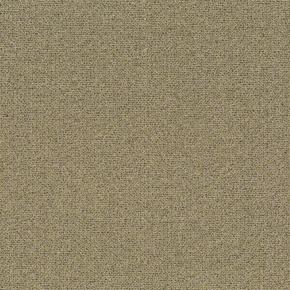 Chivasso Bonsai Reboot Colour 17