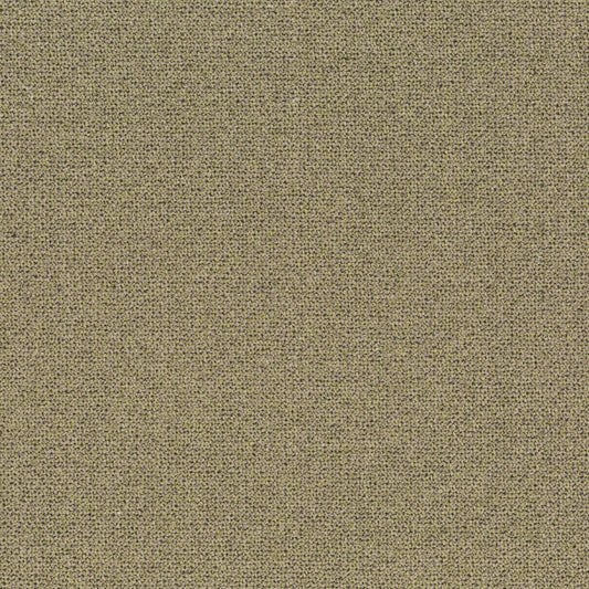 Chivasso Bonsai Reboot Colour 17