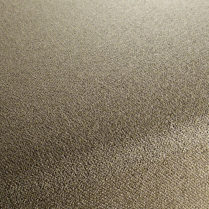 Chivasso Bonsai Reboot Colour 17