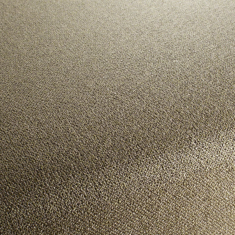 Chivasso Bonsai Reboot Colour 17