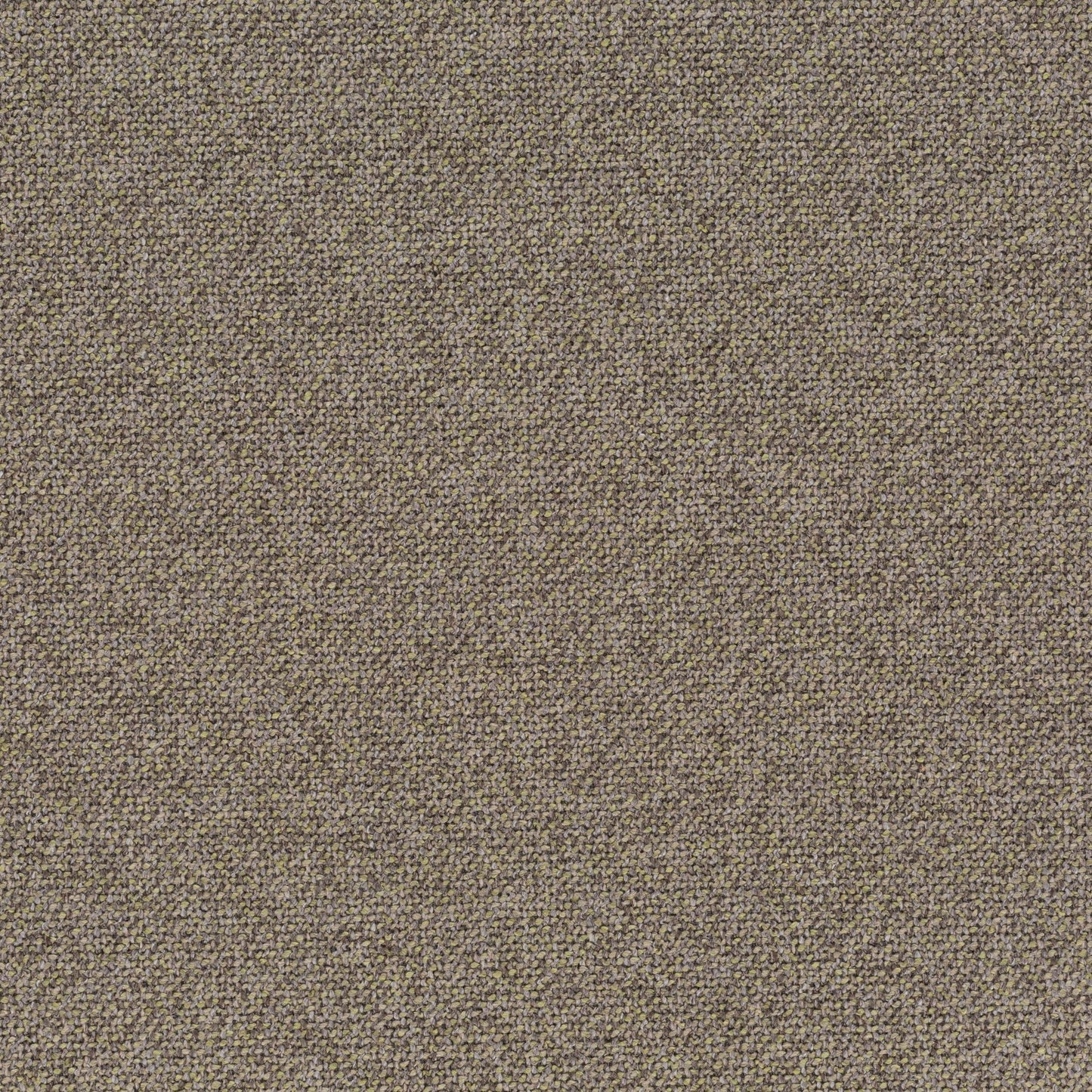 Chivasso Bonsai Reboot Colour 18