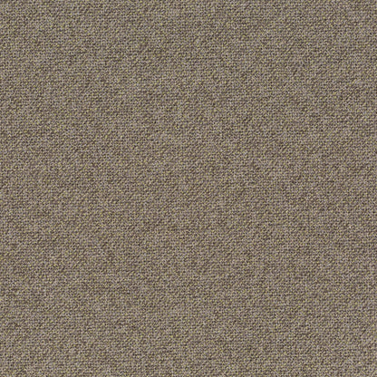 Chivasso Bonsai Reboot Colour 18