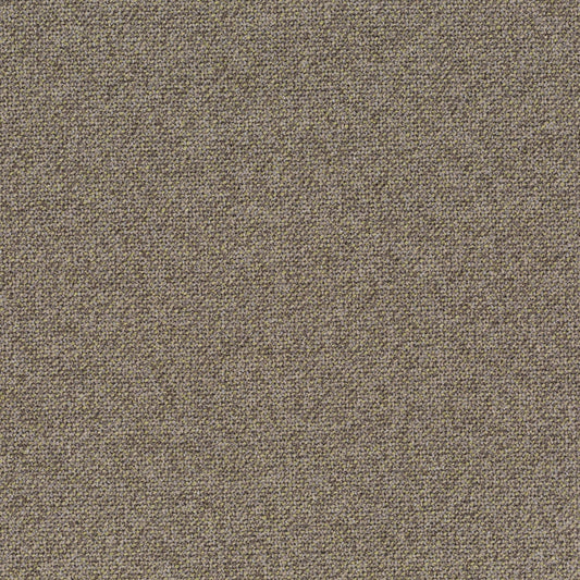 Chivasso Bonsai Reboot Colour 18