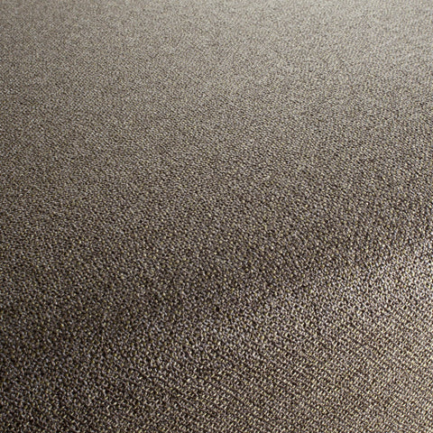 Chivasso Bonsai Reboot Colour 18