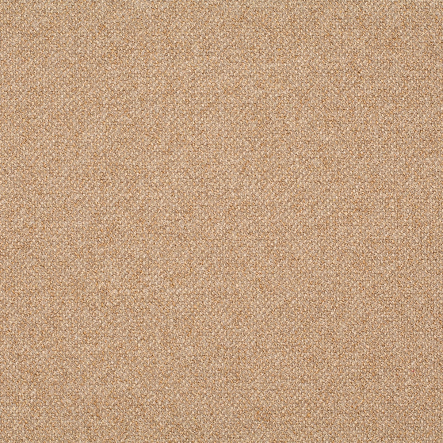 Chivasso Bonsai Reboot Colour 14