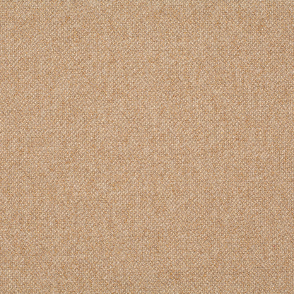 Chivasso Bonsai Reboot Colour 14