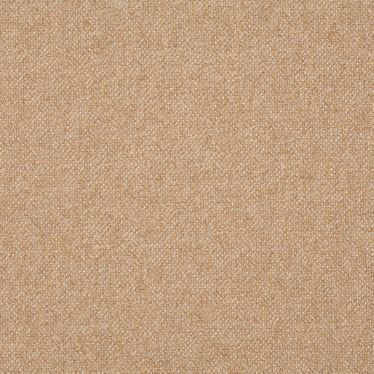 Chivasso Bonsai Reboot Colour 14