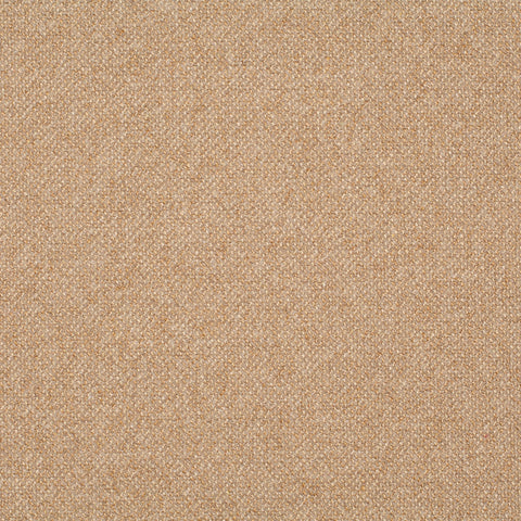 Chivasso Bonsai Reboot Colour 14