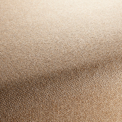 Chivasso Bonsai Reboot Colour 14