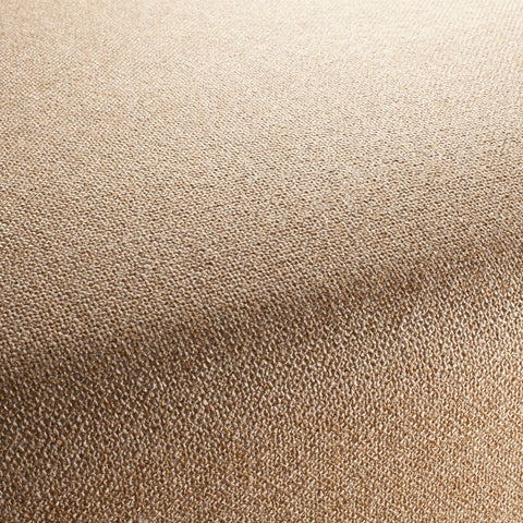 Chivasso Bonsai Reboot Colour 14