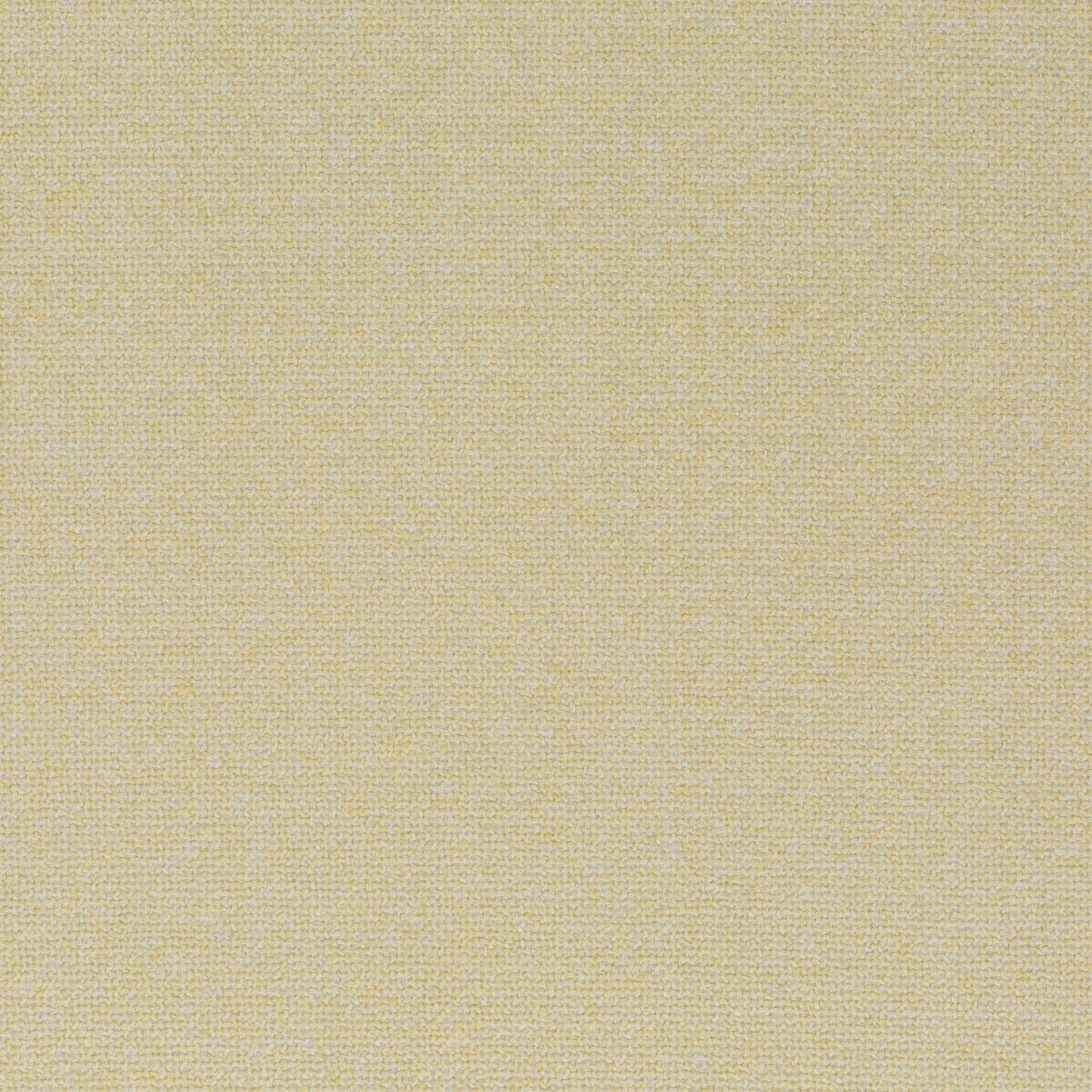 Chivasso Bonsai Reboot Colour 11