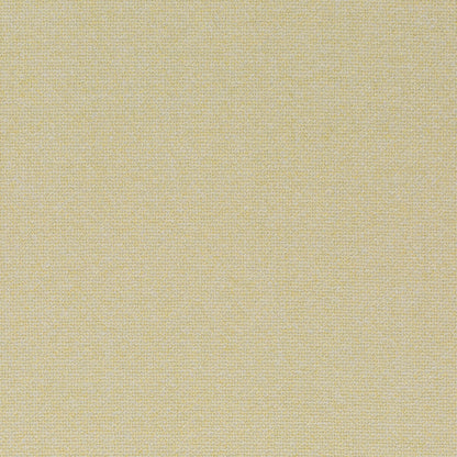 Chivasso Bonsai Reboot Colour 11