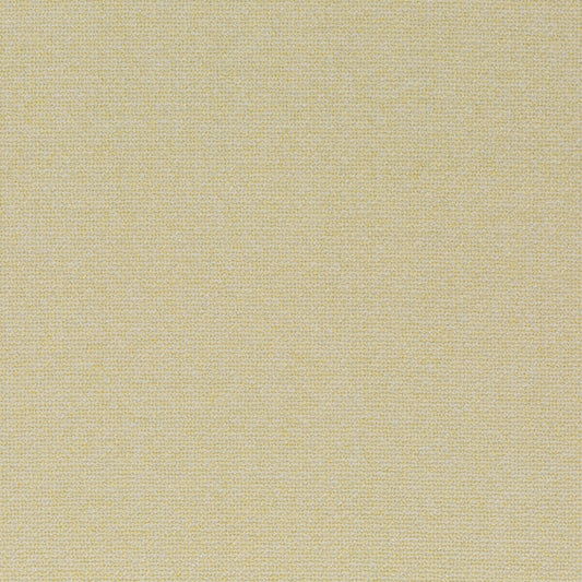 Chivasso Bonsai Reboot Colour 11