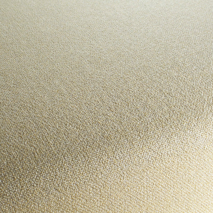 Chivasso Bonsai Reboot Colour 11