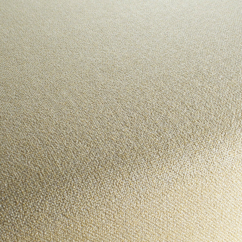 Chivasso Bonsai Reboot Colour 11