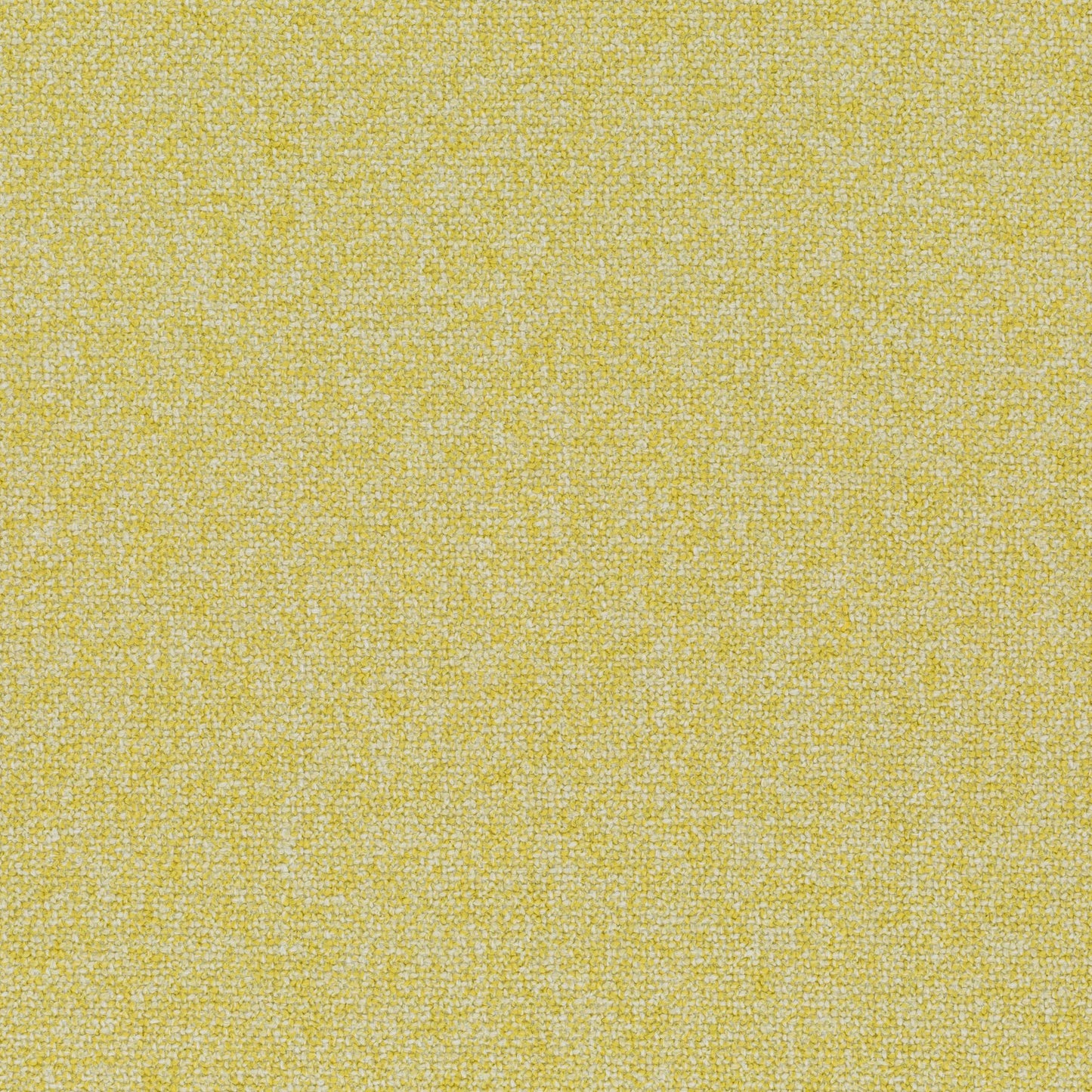 Chivasso Bonsai Reboot Colour 12