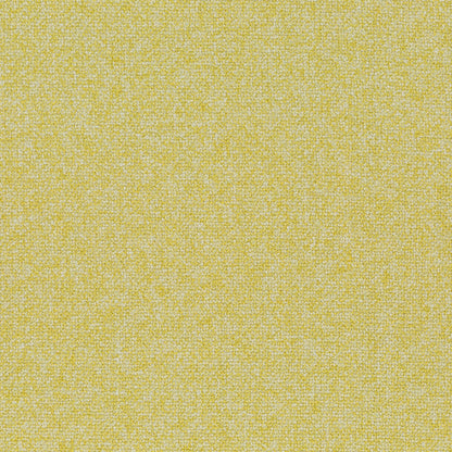 Chivasso Bonsai Reboot Colour 12