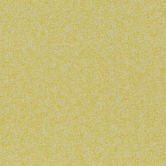 Chivasso Bonsai Reboot Colour 12