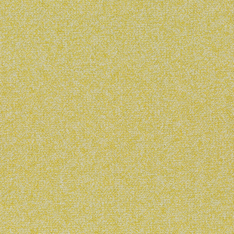 Chivasso Bonsai Reboot Colour 12