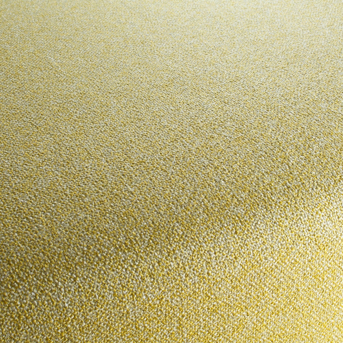 Chivasso Bonsai Reboot Colour 12