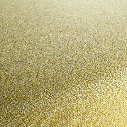 Chivasso Bonsai Reboot Colour 12