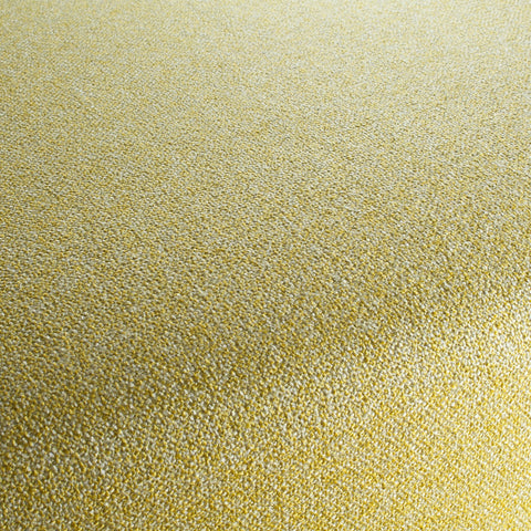 Chivasso Bonsai Reboot Colour 12