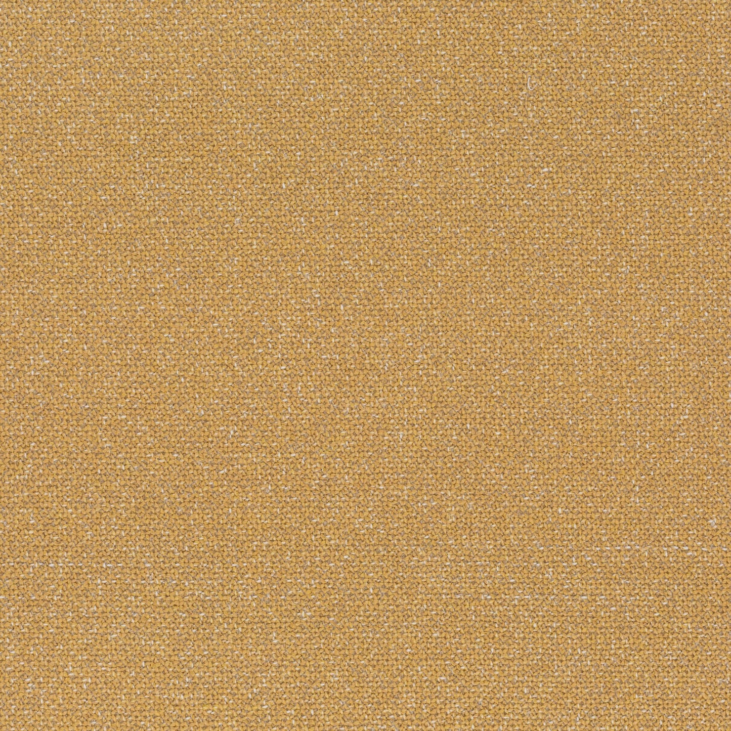 Chivasso Bonsai Reboot Colour 79