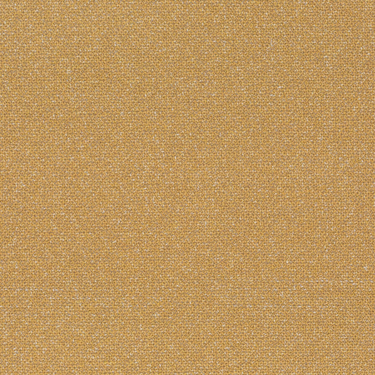 Chivasso Bonsai Reboot Colour 79