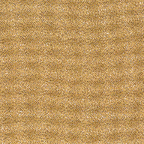 Chivasso Bonsai Reboot Colour 79