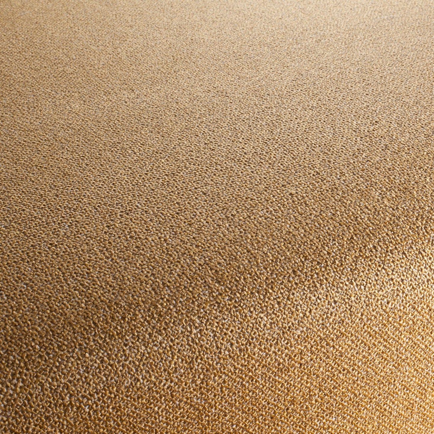 Chivasso Bonsai Reboot Colour 79