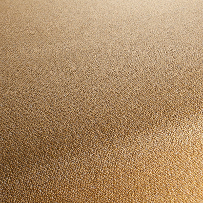 Chivasso Bonsai Reboot Colour 79