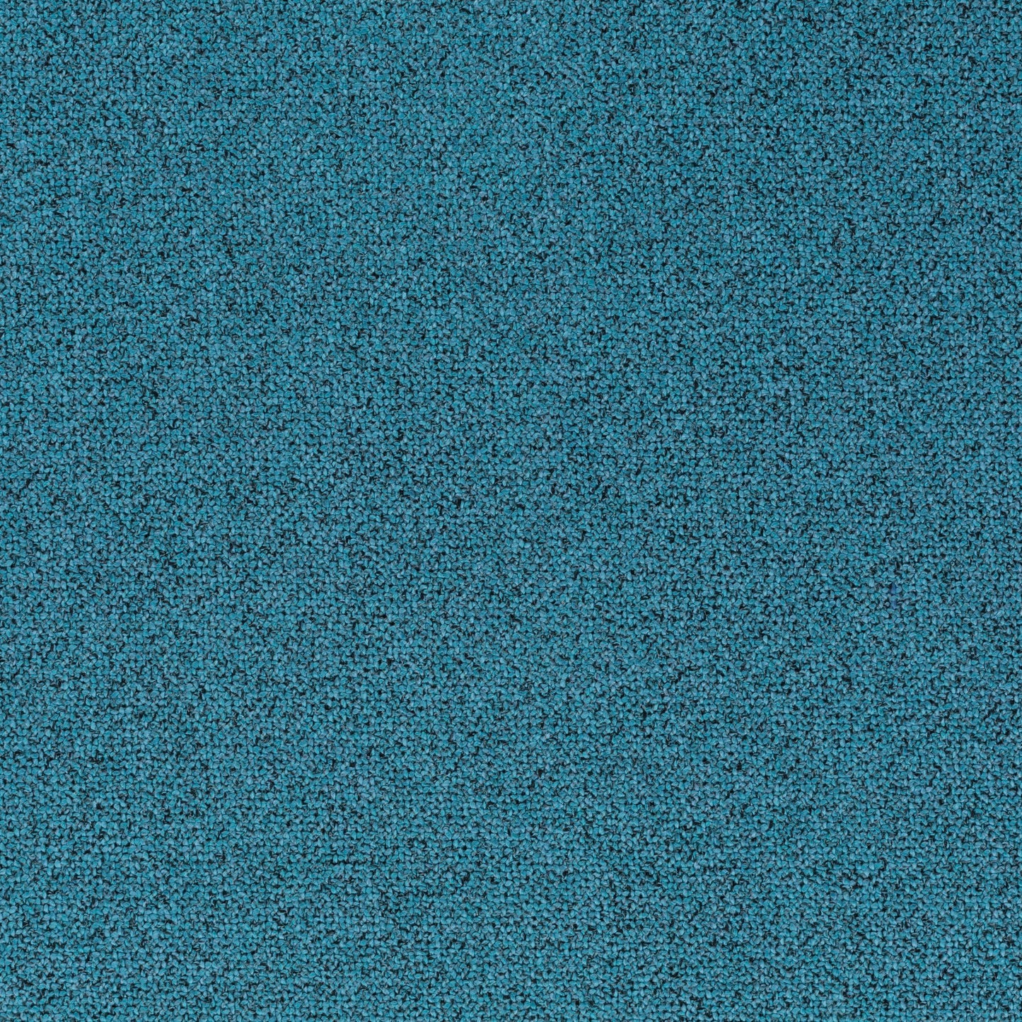 Chivasso Bonsai Reboot Colour 33