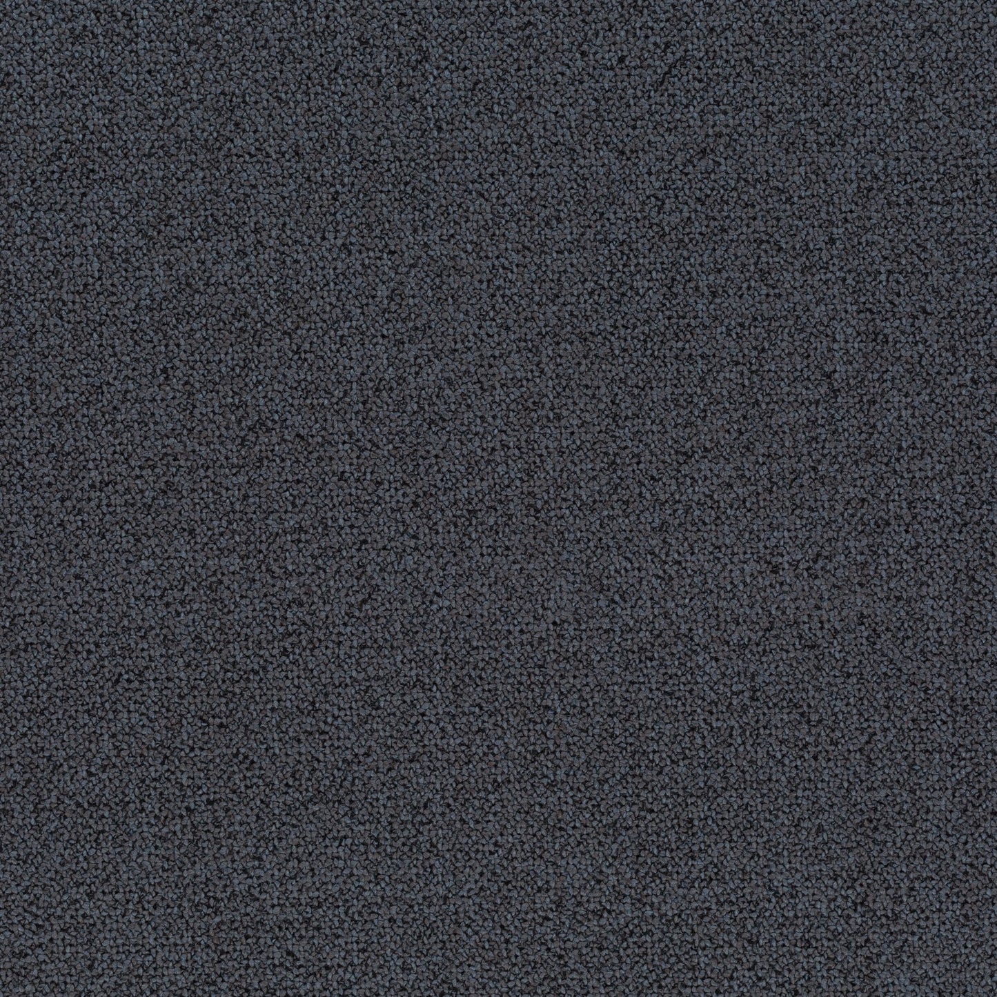 Chivasso Bonsai Reboot Colour 37