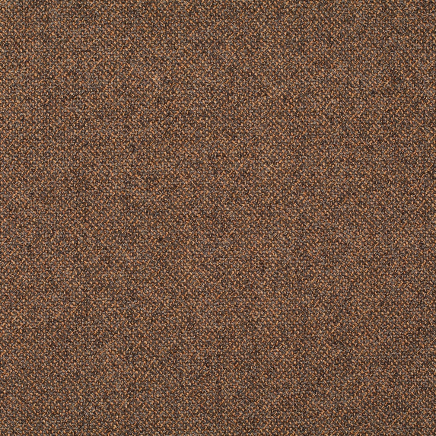 Chivasso Bonsai Reboot Colour 60