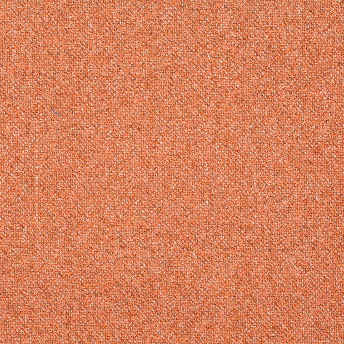 Chivasso Bonsai Reboot Colour 49