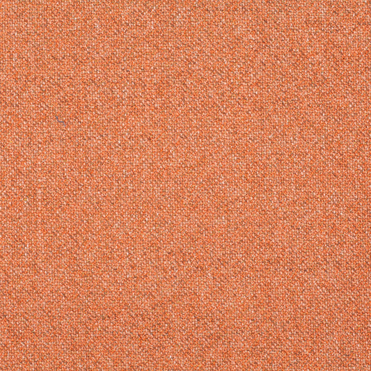 Chivasso Bonsai Reboot Colour 49