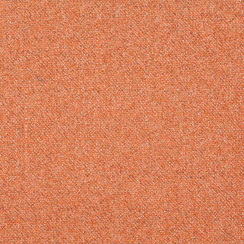 Chivasso Bonsai Reboot Colour 49