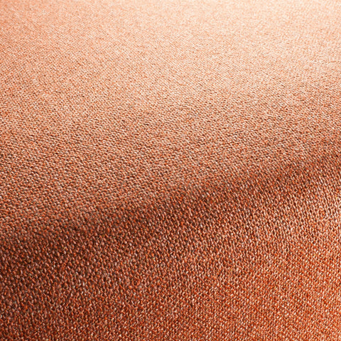 Chivasso Bonsai Reboot Colour 49