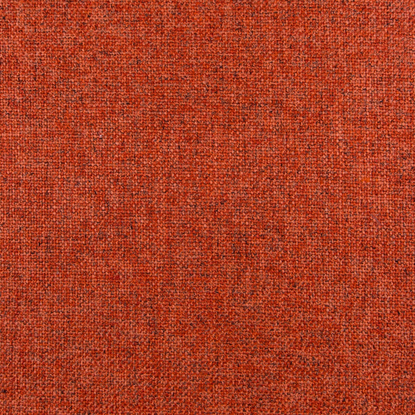 Chivasso Bonsai Reboot Colour 51