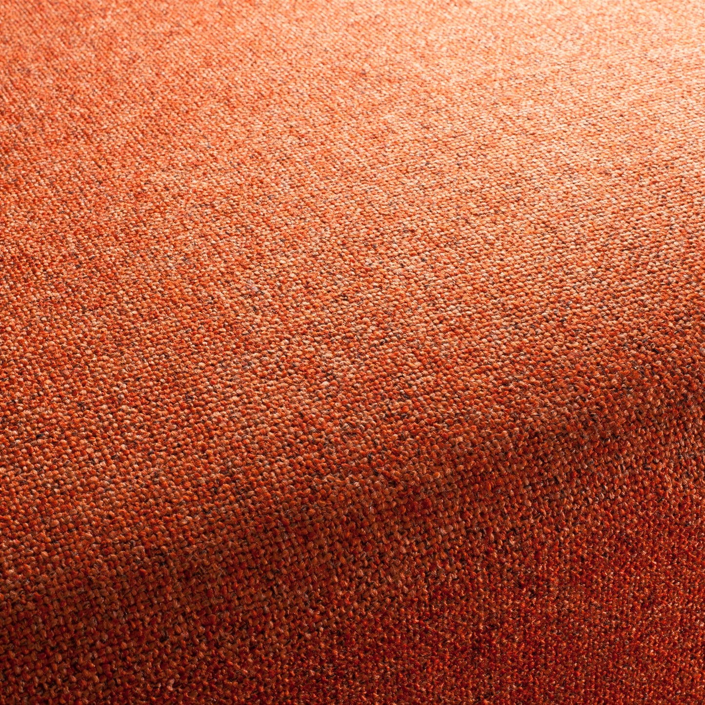 Chivasso Bonsai Reboot Colour 51