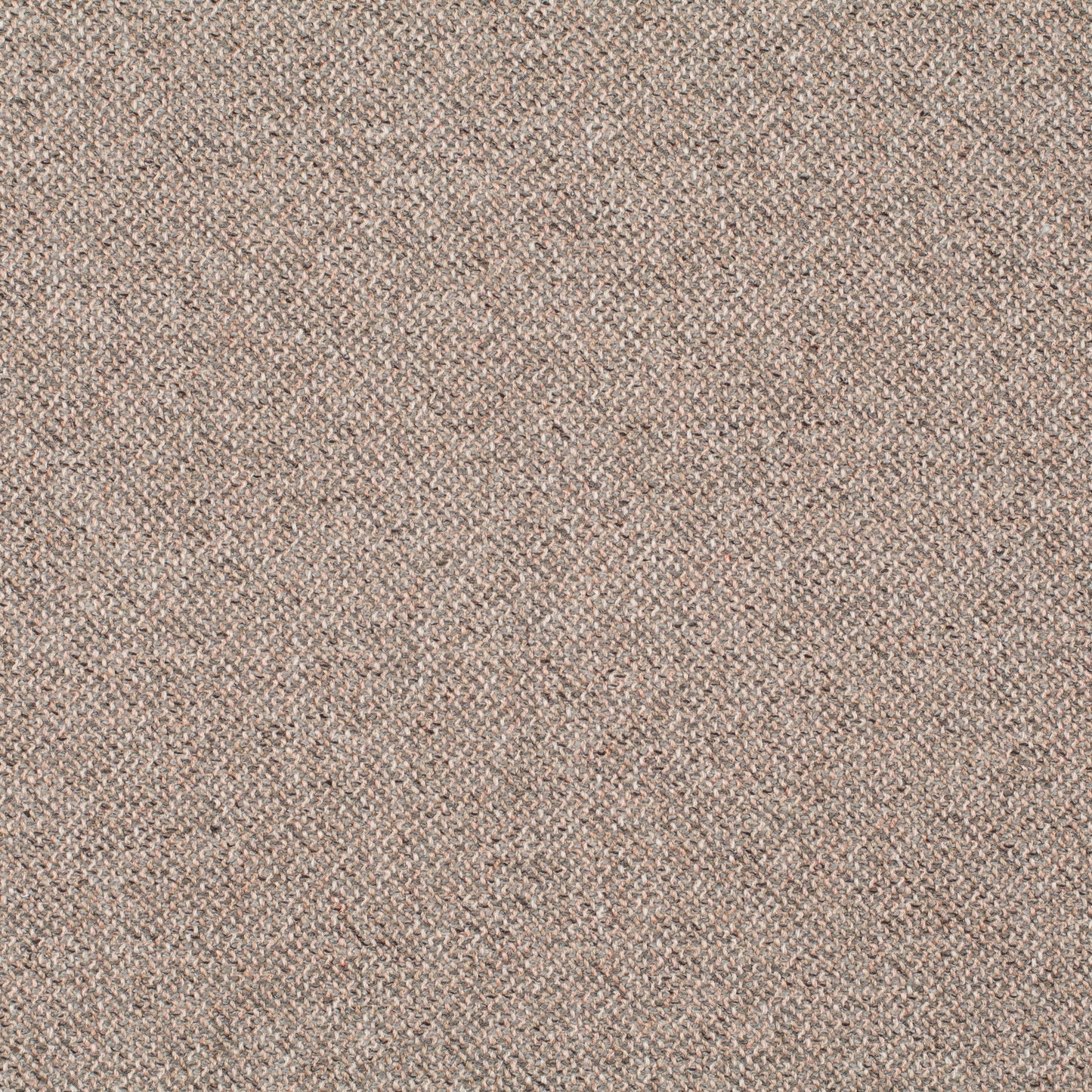 Chivasso Bonsai Reboot Colour 54