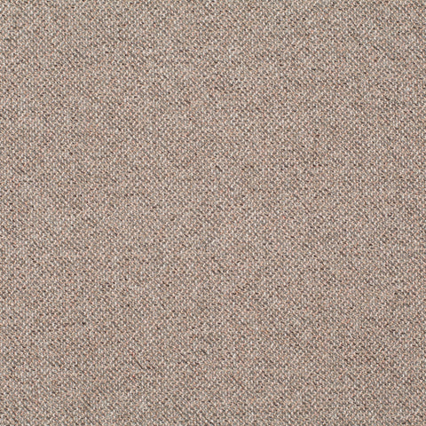 Chivasso Bonsai Reboot Colour 54