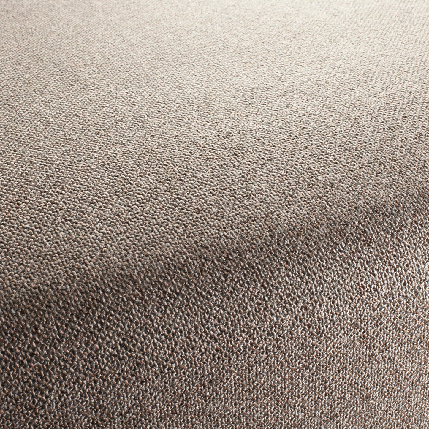 Chivasso Bonsai Reboot Colour 54