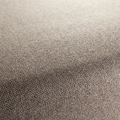 Chivasso Bonsai Reboot Colour 54