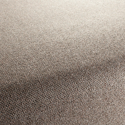 Chivasso Bonsai Reboot Colour 54