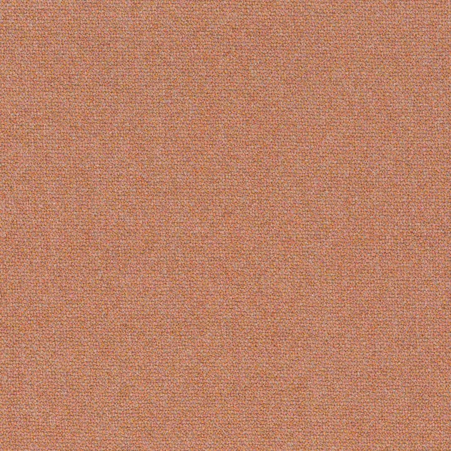 Chivasso Bonsai Reboot Colour 40