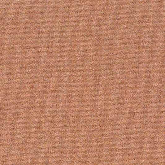 Chivasso Bonsai Reboot Colour 40