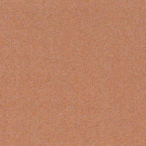 Chivasso Bonsai Reboot Colour 40